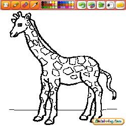 Color Giraffes 1