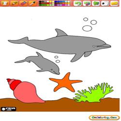 Coloring Dolphins 3