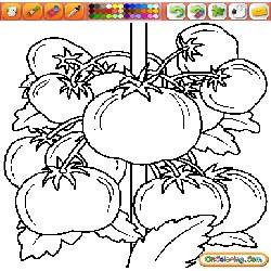 Coloring Vegetables 1