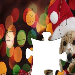 Puzzle Animals in Christmas 2
