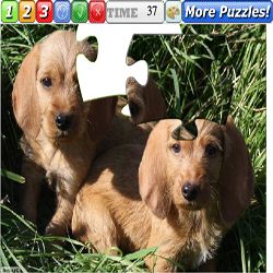 Puzzle Dogs 8
