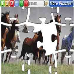 Puzzle Horses 5
