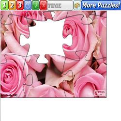 Puzzle Pink Roses