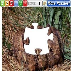 Puzzle Rabbit 3