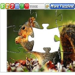Puzzle Squirrel
