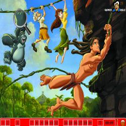 Tarzan Hidden Numbers