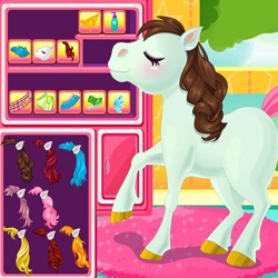 Baby pony salon