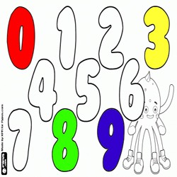 Coloring Numbers with Pypus 1