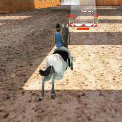 Horse Jumping 3D