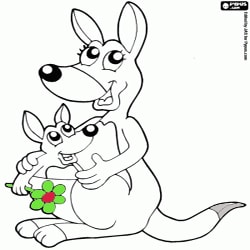 Oncoloring Australian wild animals 1