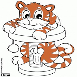 Oncoloring Kitten Young cat 1