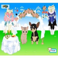 Pet wedding dressup