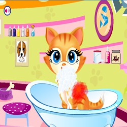 Pets beauty salon 2