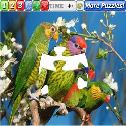 Puzzle Birds 4