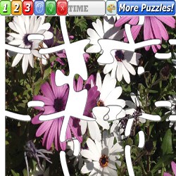 Puzzle Flowers 5