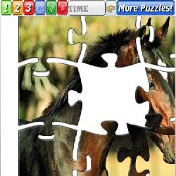Puzzle Horses 1