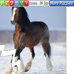 Puzzle Horses 7