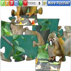 Puzzle Monkeys 1