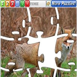 Puzzle Red Fox