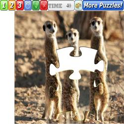 Puzzle Suricate