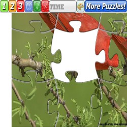 Puzzle birds 6