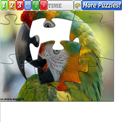 Puzzle parrot head