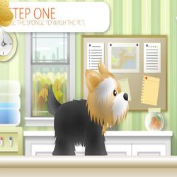 pet grooming studio