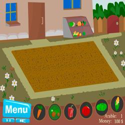 vegetable farm